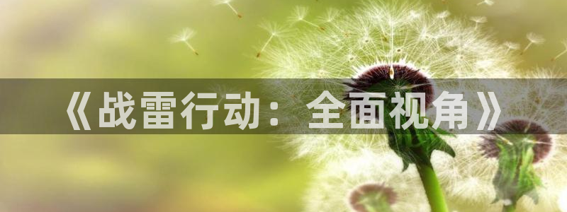 恩佐娱乐登陆：《战雷行动：全面视角》