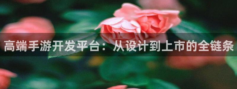 恩佐娱乐平台正规吗安全吗：高端手游开发平台：从设计到上市的全