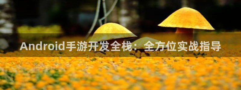 恩佐娱乐手机登录：Android手游开发全栈：全方位实战指导