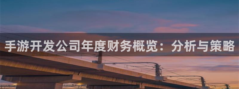 恩佐娱乐1：手游开发公司年度财务概览：分析与策略