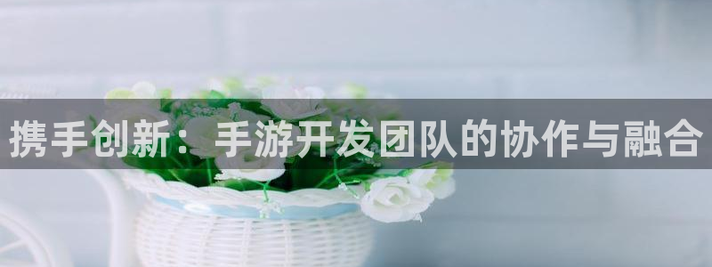 恩佐娱乐：携手创新：手游开发团队的协作与融合