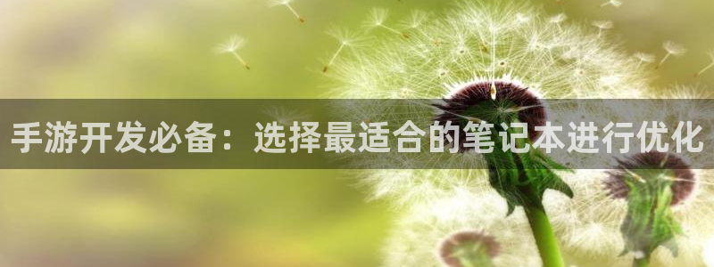 恩佐娱乐1：手游开发必备：选择最适合的笔记本进行优化