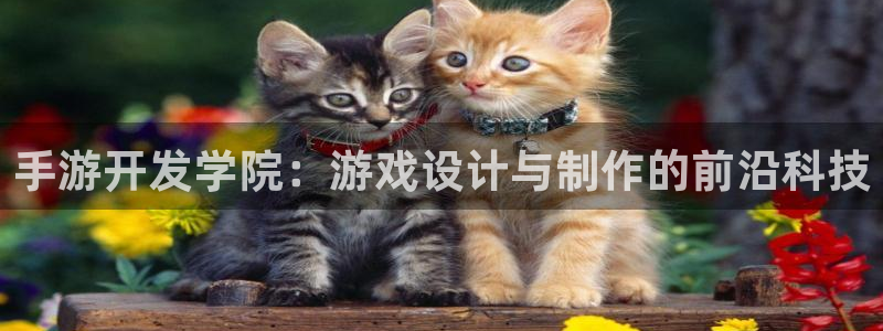 恩佐娱乐平台正规吗安全吗：手游开发学院：游戏设计与制作的前沿