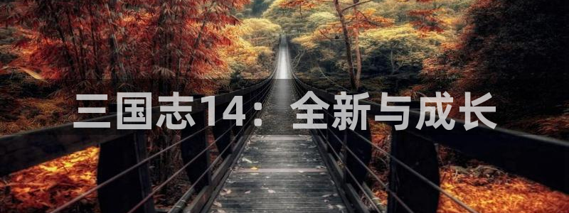 恩佐娱乐平台正规吗可靠吗：三国志14：全新与成长