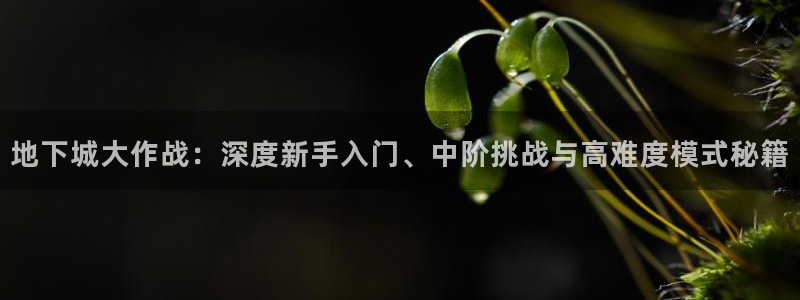 恩佐娱乐平台正规吗安全吗