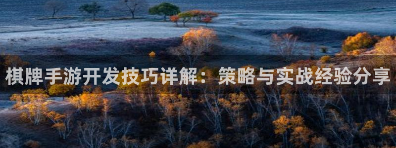 恩佐娱乐手机版最新功能介绍大全：棋牌手游开发技巧详解：策略与