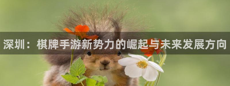 恩佐娱乐平台正规吗安全吗：深圳：棋牌手游新势力的崛起与未来发