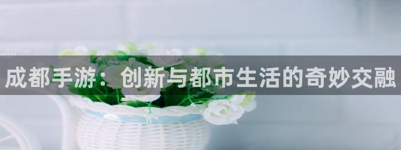 恩佐娱乐1：成都手游：创新与都市生活的奇妙交融