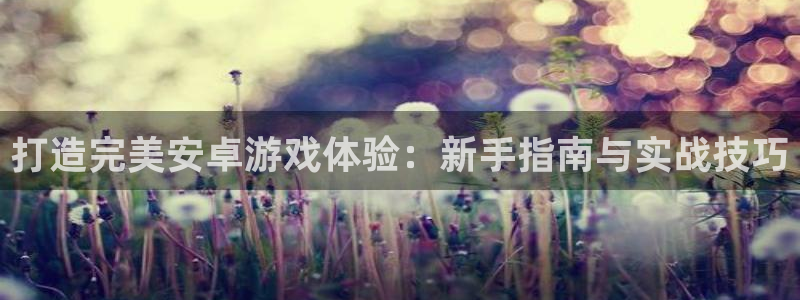 恩佐娱乐平台正规吗知乎：打造完美安卓游戏体验：新手指南与实战