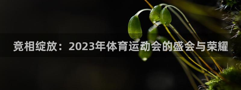 球速体育：竞相绽放：2023年体育运动会的盛会与荣耀