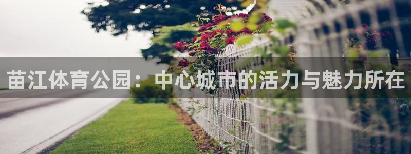球速体育：苗江体育公园：中心城市的活力与魅力所在