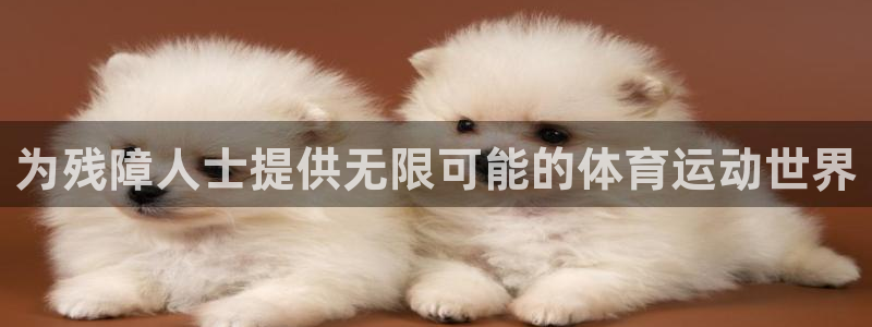 球速体育：为残障人士提供无限可能的体育运动世界