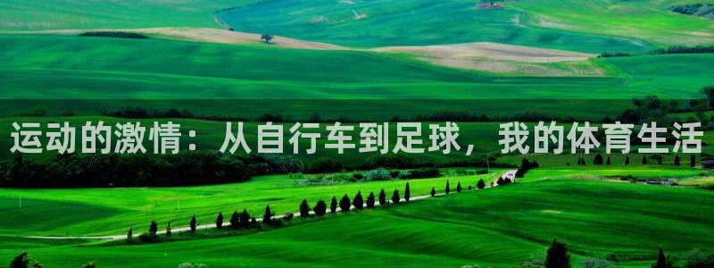 球速体育：运动的激情：从自行车到足球，我的体育生活