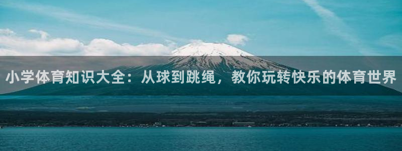 球速体育